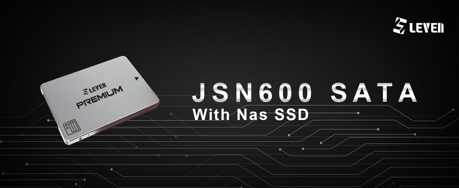 LEVEN JSN600 NAS 2.5インチ SATA SSD 1TB ホームNASデバイス